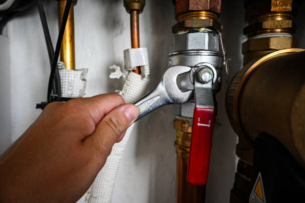 Best Local Plumber Services  in Dunthpe, OR